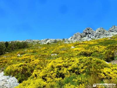 Canal Barranca_Cuerda Cabrillas;rutas patones rutas buitrago de lozoya yelmo pedriza